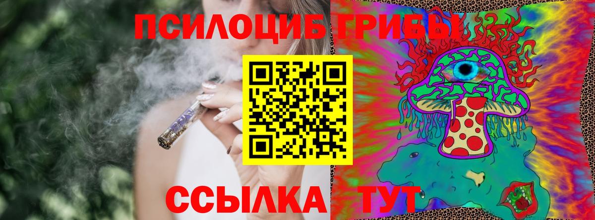 магазин  наркотиков  Вход с VPN  Щёлково  Галлюциногенные грибы Psilocybine cubensis 